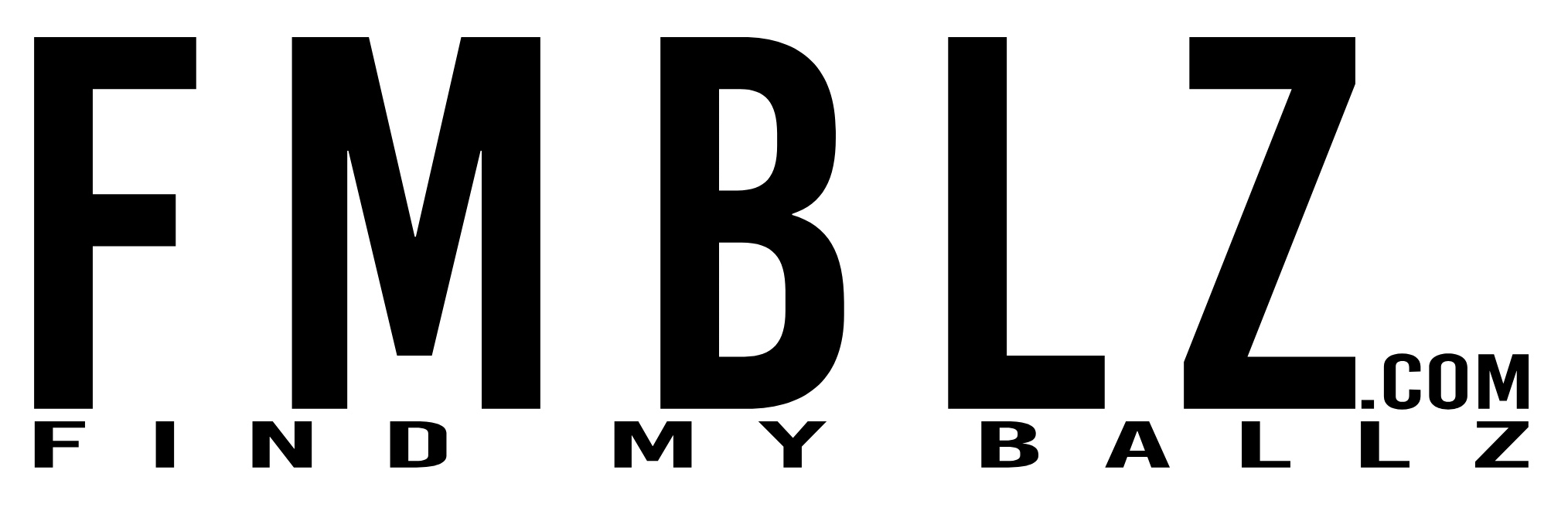 FMBLZ Logo